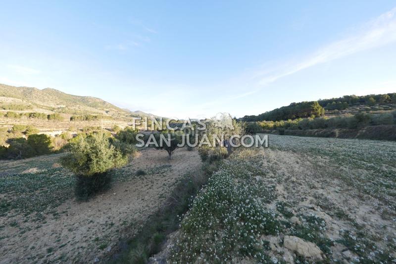 Foto 97152fcf-f1d8-4184-8ee1-91c4ae70d1bf. Terreno residenziale in Torre de les Maçanes (la)