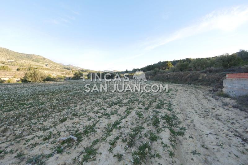 Foto b4310331-0514-438c-8ccf-0617da9e28ce. Terreno residenziale in Torre de les Maçanes (la)