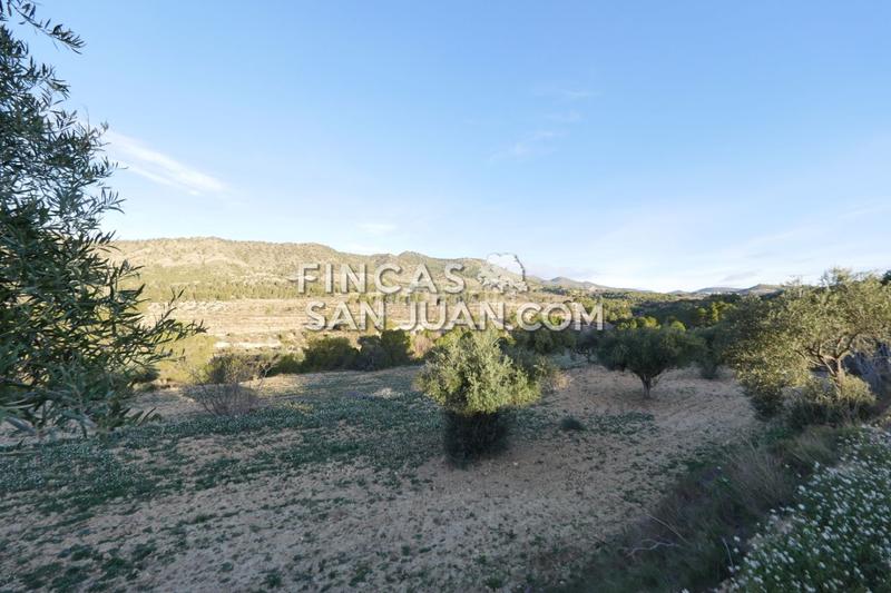 Foto c0e9c49a-7f37-4df4-80c5-28d7050a6b11. Terreno residenziale in Torre de les Maçanes (la)