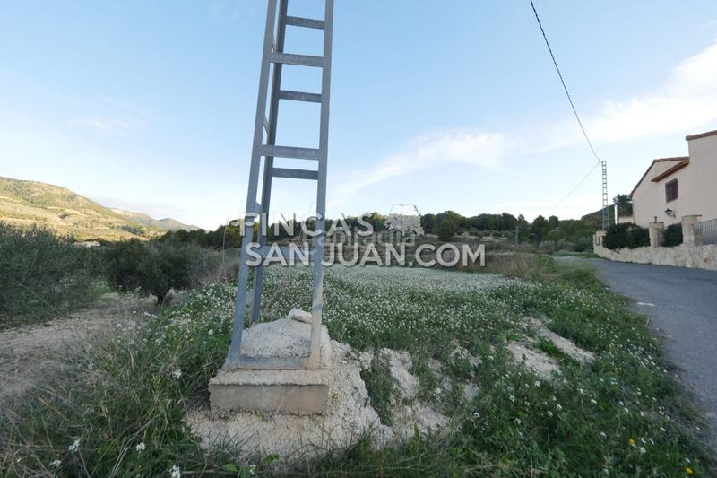 Foto cfb614d8-0265-4230-bdb0-08a0b7a84a6e. Terreno residenziale in Torre de les Maçanes (la)
