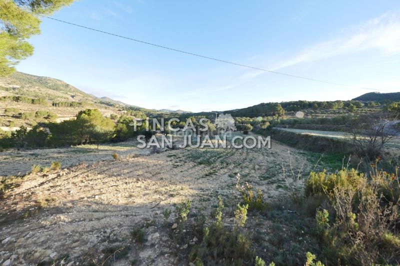 Foto d67394d6-7a8a-4d81-8971-fc5e8eee18f2. Terreno residenziale in Torre de les Maçanes (la)