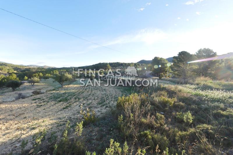 Foto e7021222-cced-42b6-ae0f-05951ecdbf76. Terreno residenziale in Torre de les Maçanes (la)