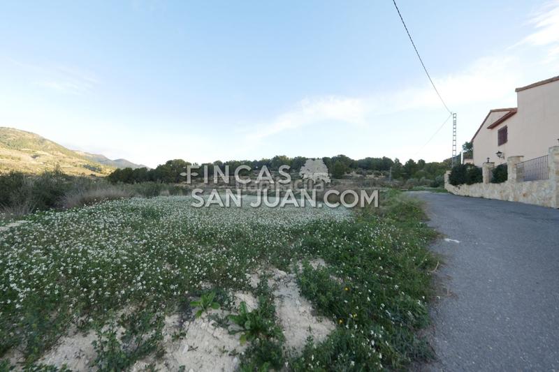 Foto f02042c6-3df9-4cf7-964e-1f2f9b3ff8e7. Terreno residenziale in Torre de les Maçanes (la)