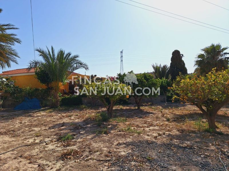 Foto 1f0e7a8a-302d-401f-b979-2488a9aa1943. Xalet amb aparcament piscina a Villafranqueza Alicante