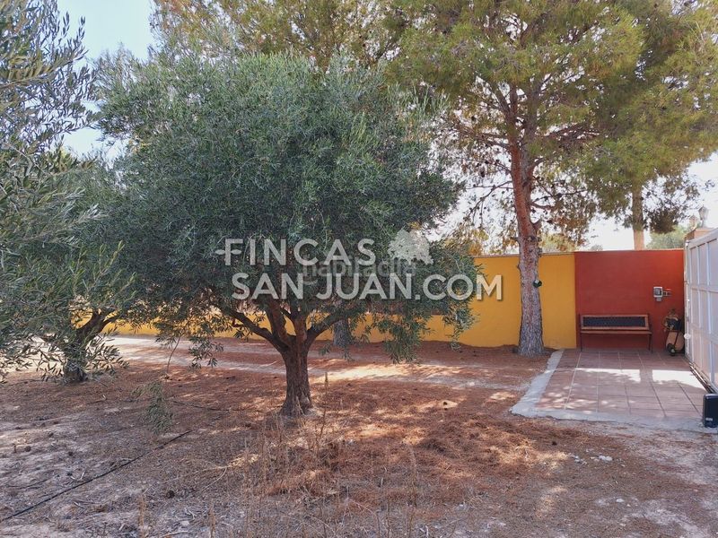 Foto 39b22688-1407-4b9f-8e16-c6e950f34500. Xalet amb aparcament piscina a Villafranqueza Alicante