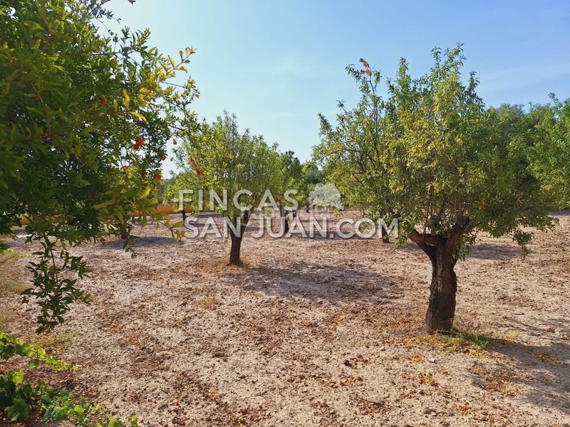 Foto b680e82a-57fd-476f-a312-ec67d5841725. Xalet amb aparcament piscina a Villafranqueza Alicante