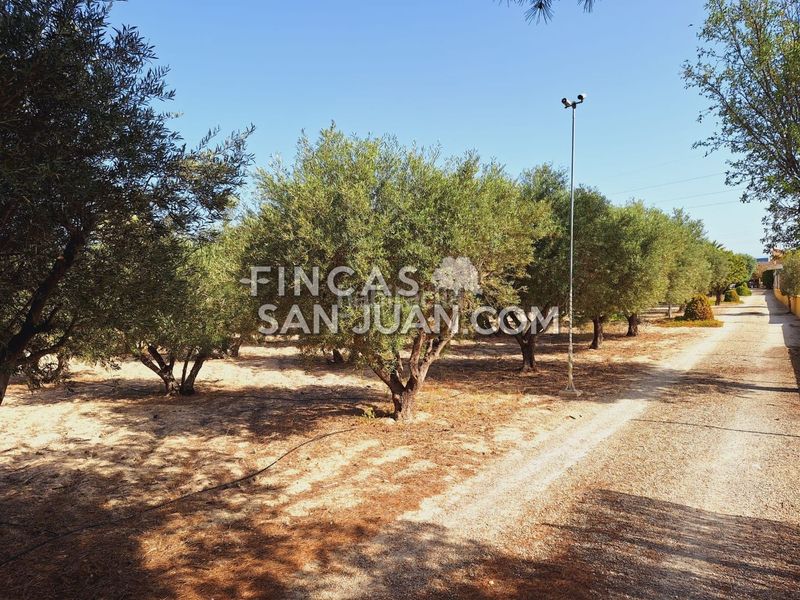 Foto bb092fbb-952d-474d-866c-c42cb57424d7. Xalet amb aparcament piscina a Villafranqueza Alicante