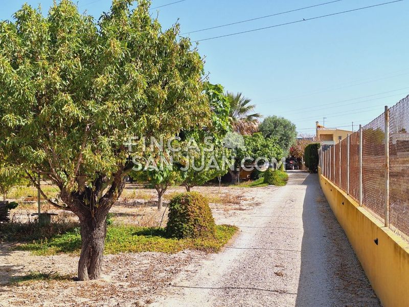 Foto e537aa09-0750-46ab-a6de-411b2440afea. Xalet amb aparcament piscina a Villafranqueza Alicante