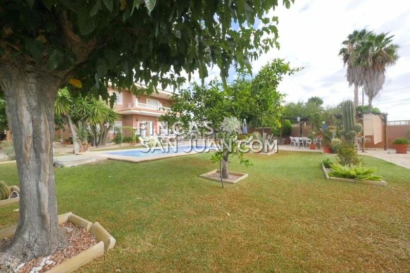 Foto ebe8b203-b1f6-4a41-97fd-9e7dc2f96958. Chalet mit pool in La Huerta Mutxamel