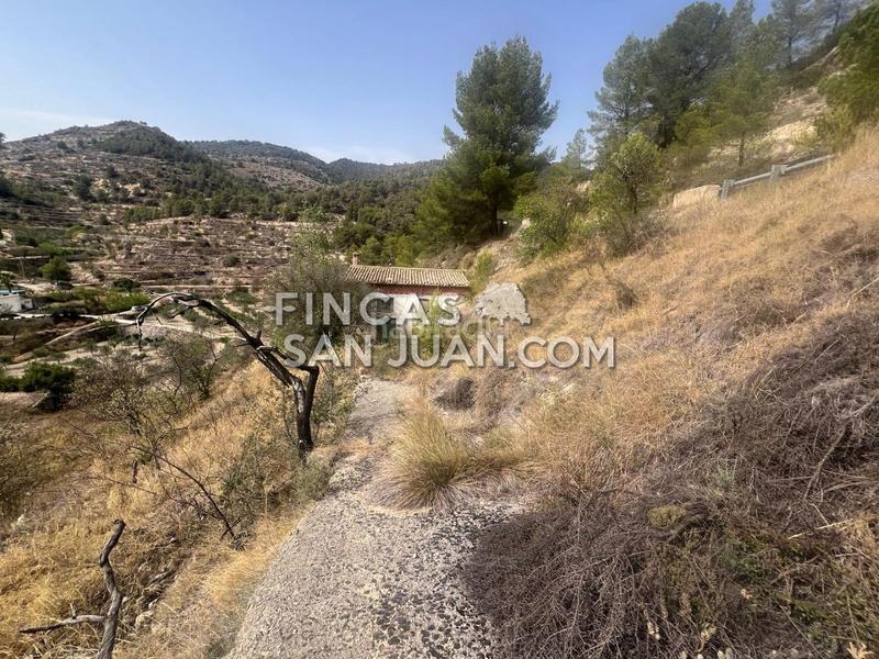 Foto 7e5d766a-4dd8-44dc-8267-22407d7ffe41. Masia a Relleu