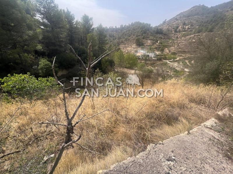 Foto e91cddcb-b24e-400a-a628-edf9170ef1a4. Masia a Relleu