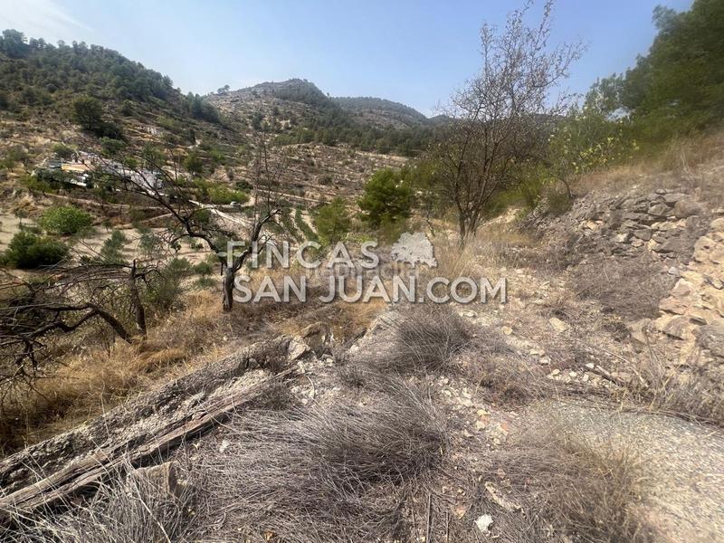 Foto fcb7ae7a-7fba-4e4e-8a31-9f9e5ce68743. Masia a Relleu