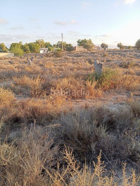 Foto 01ff95ac-a06c-45a9-8749-59a9c458458f. Terreno residenziale in Centro Mutxamel