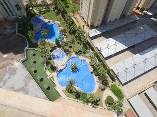 Piso en Cala Palmera-Atrium. Piso en venta en benidorm, 1 dormitorio.