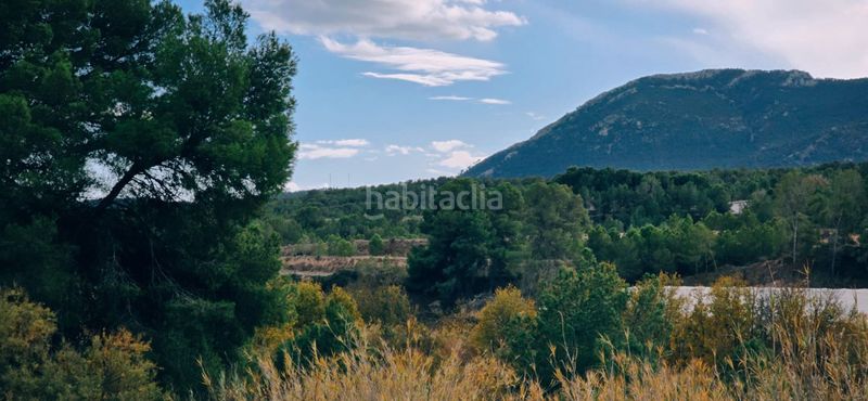 Foto 778ef619-cd30-4301-9de3-2349c897fc41. Terreny residencial a Tibi