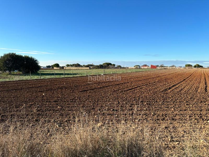 Foto 04d1f8d1-231a-4374-9b7e-e7d33dd6f61f. Terrain résidentiel dans Los Franceses - La Vega Chiclana de la Frontera