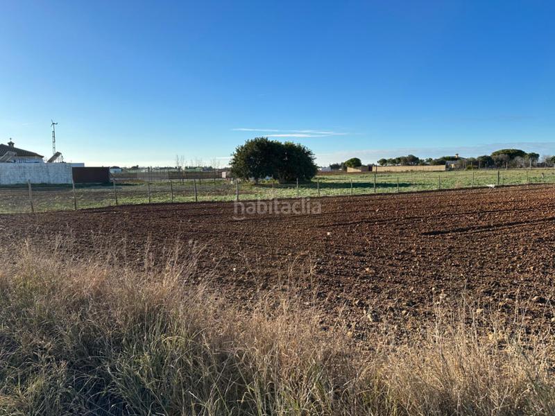 Foto 169bed94-39e6-46fa-85ad-74dcbd54d914. Terrain résidentiel dans Los Franceses - La Vega Chiclana de la Frontera