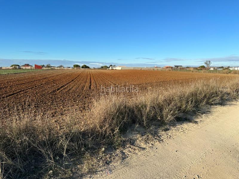 Foto 6fa8e001-b7a7-433e-92ba-f31f4971005f. Terrain résidentiel dans Los Franceses - La Vega Chiclana de la Frontera