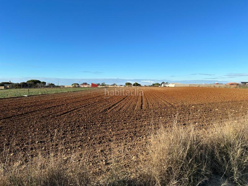 Foto 7f560a3a-bbff-486c-ad24-5bb2001081e0. Terrain résidentiel dans Los Franceses - La Vega Chiclana de la Frontera