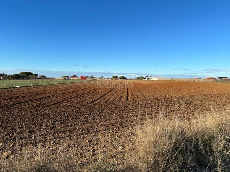 Foto 7f68708a-517c-4f47-ae0a-ba20c5afea1e. Terrain résidentiel dans Los Franceses - La Vega Chiclana de la Frontera