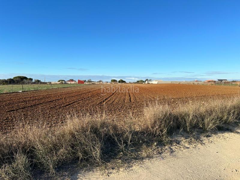 Foto a128925c-1c5a-41c9-9f58-4a8b0f1d2aa4. Terrain résidentiel dans Los Franceses - La Vega Chiclana de la Frontera