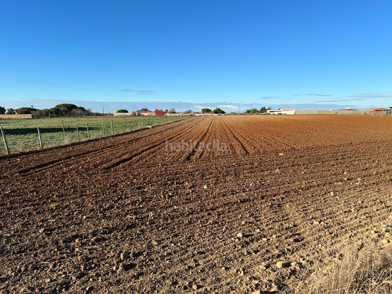 Foto b2da7a1d-974c-470d-bc44-2764078f1cf1. Terrain résidentiel dans Los Franceses - La Vega Chiclana de la Frontera