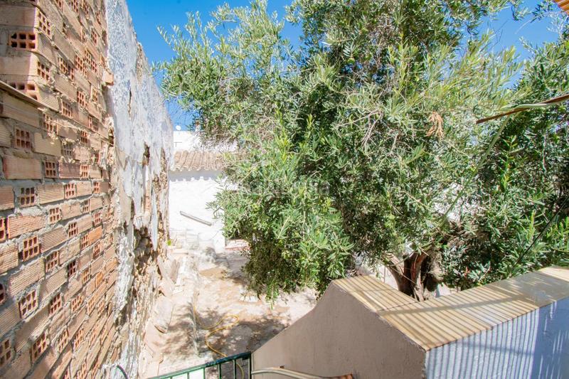 Foto d8a1aef3-d43c-4d3d-9bd9-89f64066f86a. Casa se vende casa con terreno en Paterna de Rivera