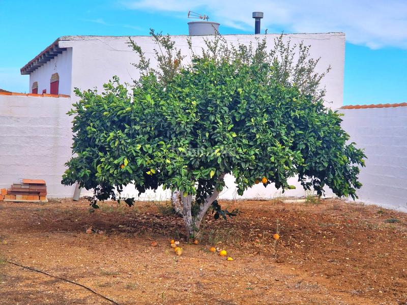 Foto 2aa8789c-4948-4422-bebc-807285e01174. Masía en Los Franceses - La Vega Chiclana de la Frontera