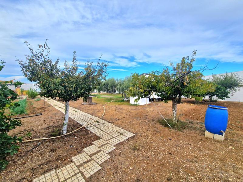 Foto 7a6303db-64dc-42bf-81ab-84f10ce7998b. Masía en Los Franceses - La Vega Chiclana de la Frontera
