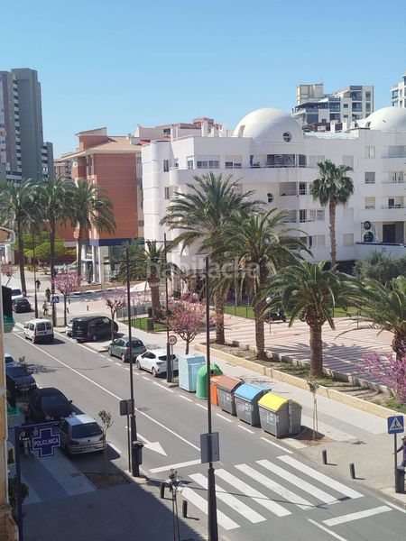 Foto d368457f-7212-46cc-9018-8d58d6bd96dd. Pis a Campello Playa Campello (el)