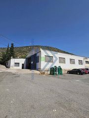 Industrial building in Iznalloz. Nave industrial con vivienda a pie de autovia en iznalloz