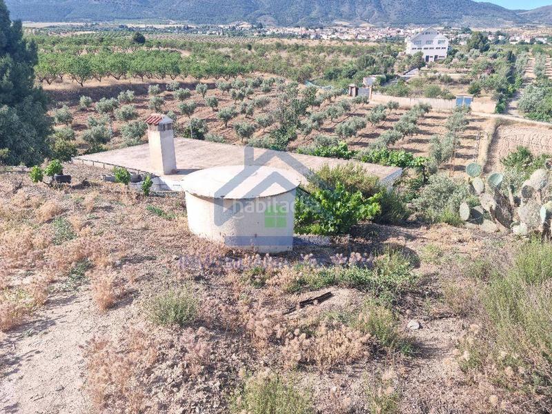 Foto 18d5cbc6-2881-496d-a3d3-fe6df27346cc. Piso cortijo con 11.000 metros con olivos y almendros en Gójar