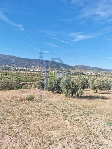 Foto 1f6017aa-2bd7-40cd-a653-a54d82f95ba7. Piso cortijo con 11.000 metros con olivos y almendros en Gójar