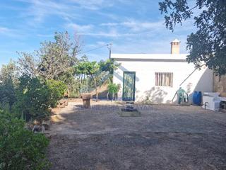 Pis a Gójar. Cortijo con 11.000 metros con olivos y almendros