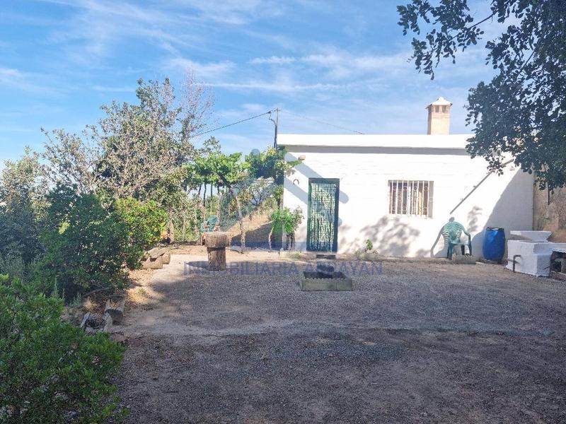 Foto 4ae2e75d-1111-4f31-8792-738f22226971. Piso cortijo con 11.000 metros con olivos y almendros en Gójar