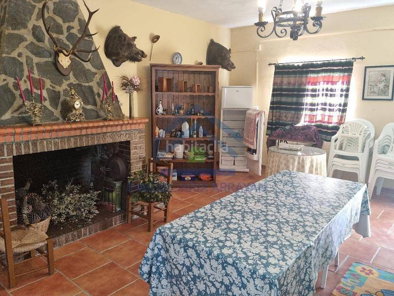 Foto 4f8606c2-ff0b-469c-aa17-0190b1507237. Piso cortijo con 11.000 metros con olivos y almendros en Gójar