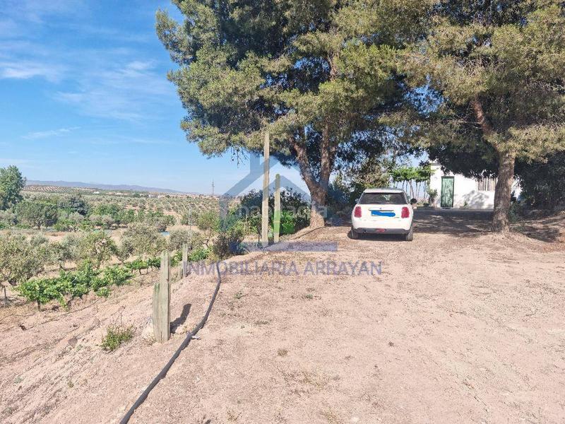 Foto 511a9645-e161-4675-a9cd-8e4f452976f5. Piso cortijo con 11.000 metros con olivos y almendros en Gójar