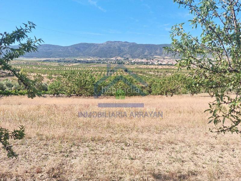 Foto 57f8a055-d631-4083-bb39-ff497af0f7ed. Piso cortijo con 11.000 metros con olivos y almendros en Gójar