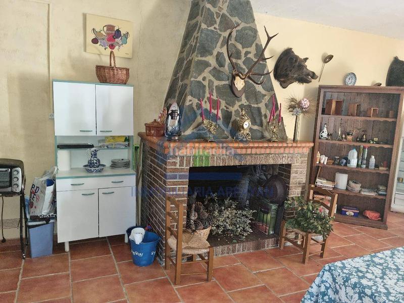 Foto ca762cff-82bd-4079-9101-b6f8c749d825. Piso cortijo con 11.000 metros con olivos y almendros en Gójar