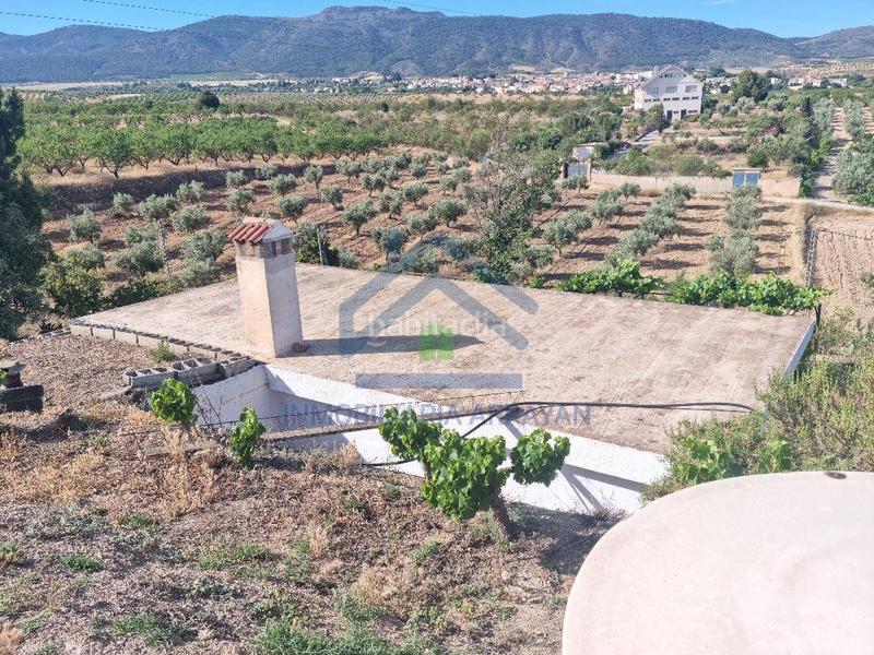 Foto d15c7f4a-1125-4be0-8415-47fcb34c0273. Piso cortijo con 11.000 metros con olivos y almendros en Gójar