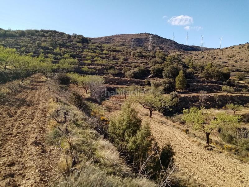 Foto 1e9cfa8e-3f1e-4981-aadd-512c41aaa1e8. Finca rústica a Villores