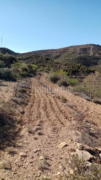 Foto 5886a477-21a5-4fa1-8f38-d0682b2a04e6. Finca rústica a Villores