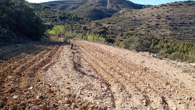 Foto 9ba110a9-7886-46e3-bbcb-d693046655c5. Finca rústica a Villores