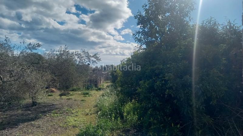 Foto 114c1d00-e2fb-44af-b9dc-f09a03ae222d. Mas avec piscine dans El Grao Castellón de la Plana