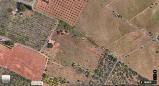 Finca rústica  Partida bovalar. Terreno / no urbanizable en venta partida bovalar 157, zona esta