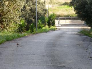 Finca rstica a Carrer de can mir 7. Agricola bien ubicada con 6 naves con rentabilidad