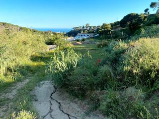 Finca rstica a Carrer de can mir 7. Agricola bien ubicada con 6 naves con rentabilidad