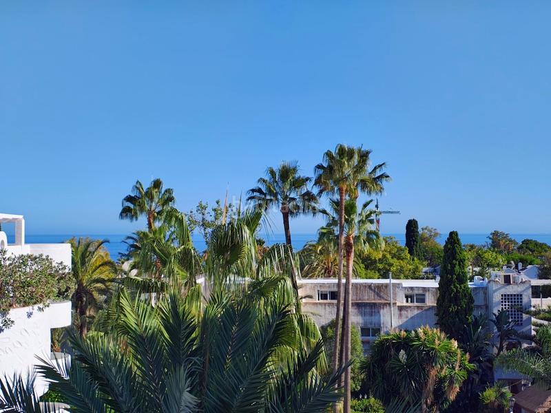 Foto 2dceac82-11e9-4c3b-88fd-d0f7f71dff75. Lloguer apartament a principe alfonso hohenloh a Marbella