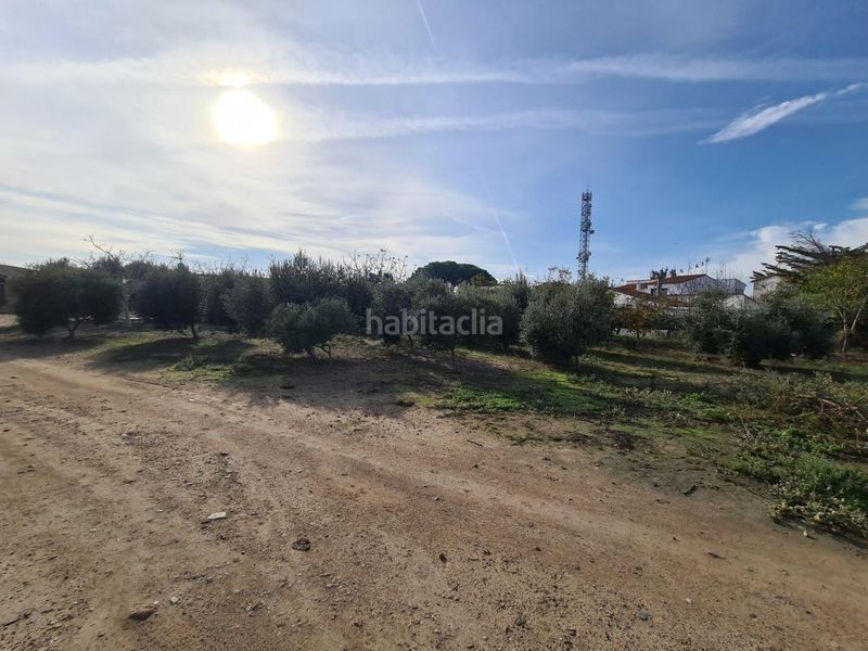 Foto dc888ff3-b56f-4576-b6ea-2279607dc558. Finca rústica a Riudoms