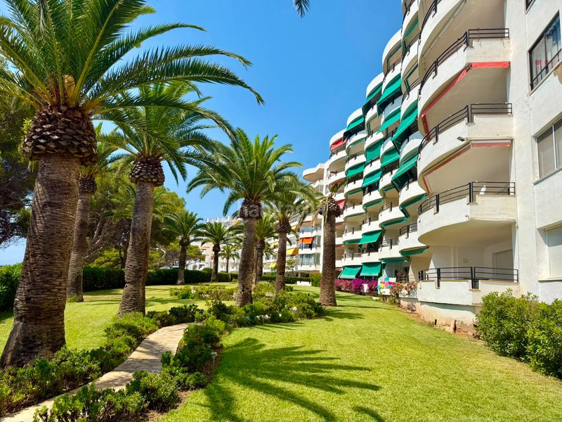 Foto 98e8aa7e-b2d8-4c6b-aace-4e1fbc8844ea. Pis amb calefacció aparcament a Passeig Marítim Miami Platja